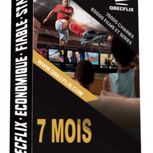 Abonnement QbecFlix 7 Mois